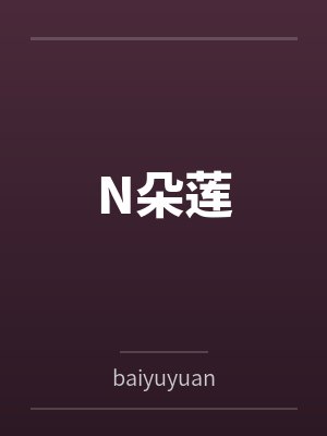 N朵莲 N朵莲