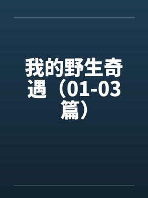我的野生动物图片 我的野生动物图片